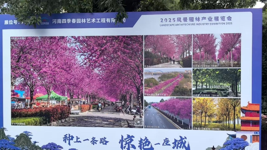 640 (4).jpg 640 (4).jpg